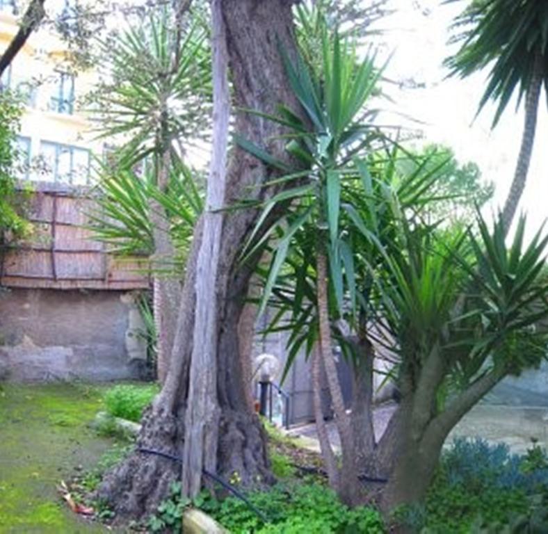 Villa Orchidea Sorrento Quarto foto